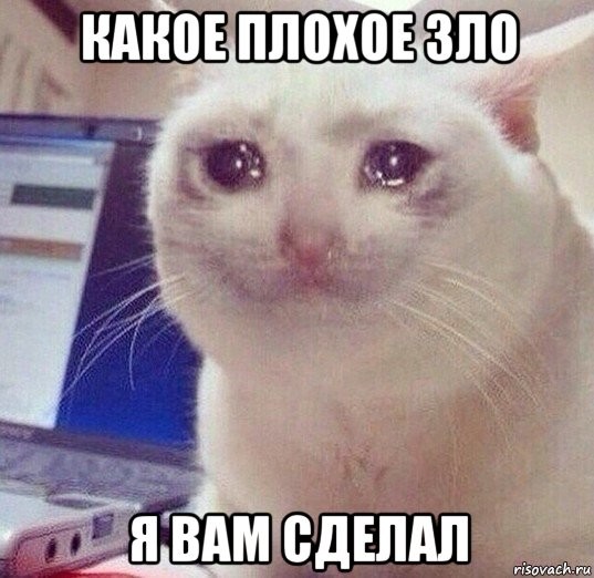 ���������� #2273519
