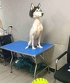 �� (�)��������