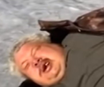 ���������� #2273953