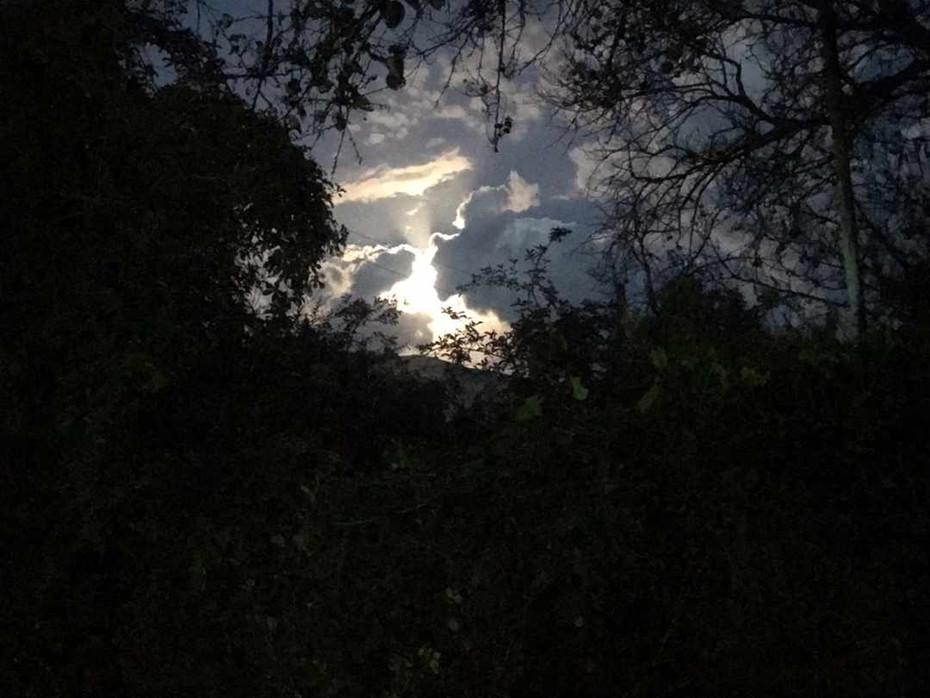 ���������� #2270480