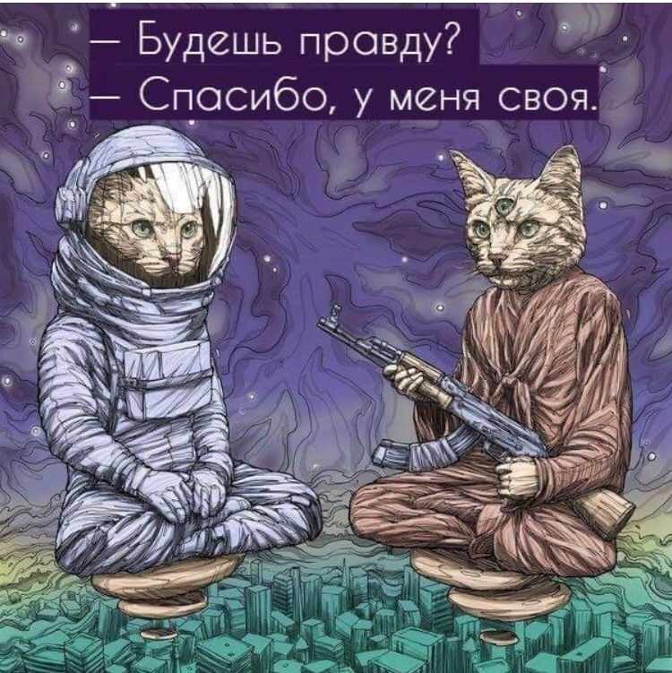 ���������� #2270485
