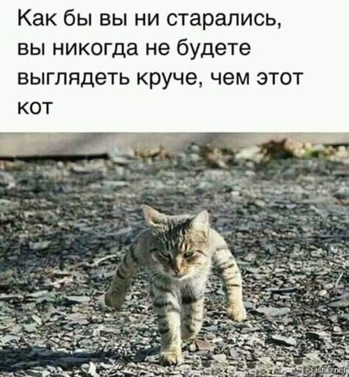 ���������� #2274255