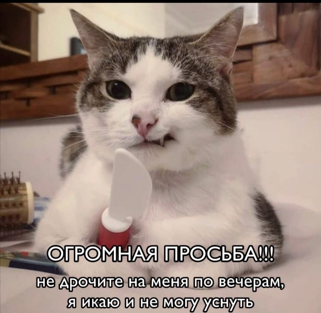 ���������� #2274342