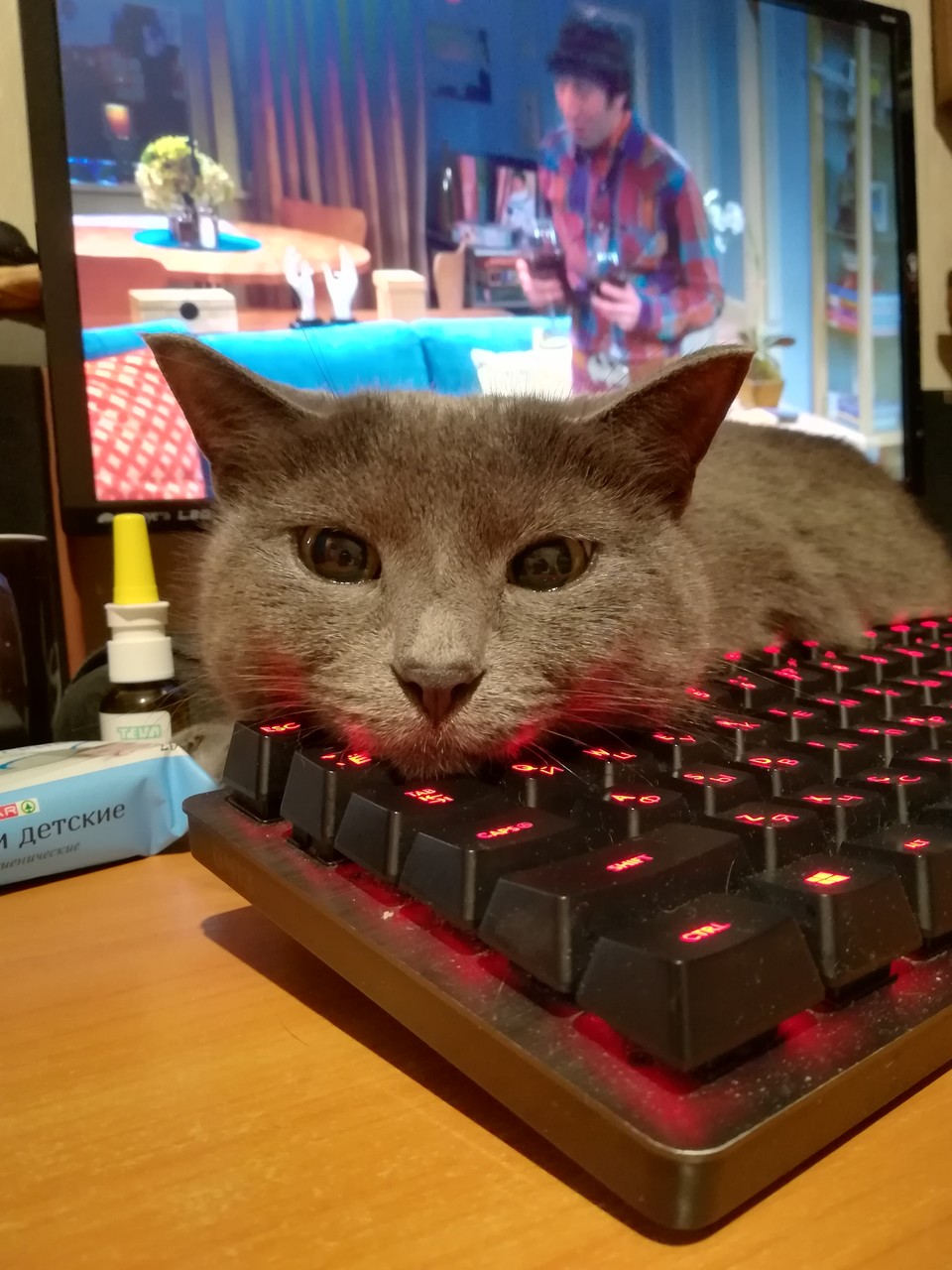 ��������