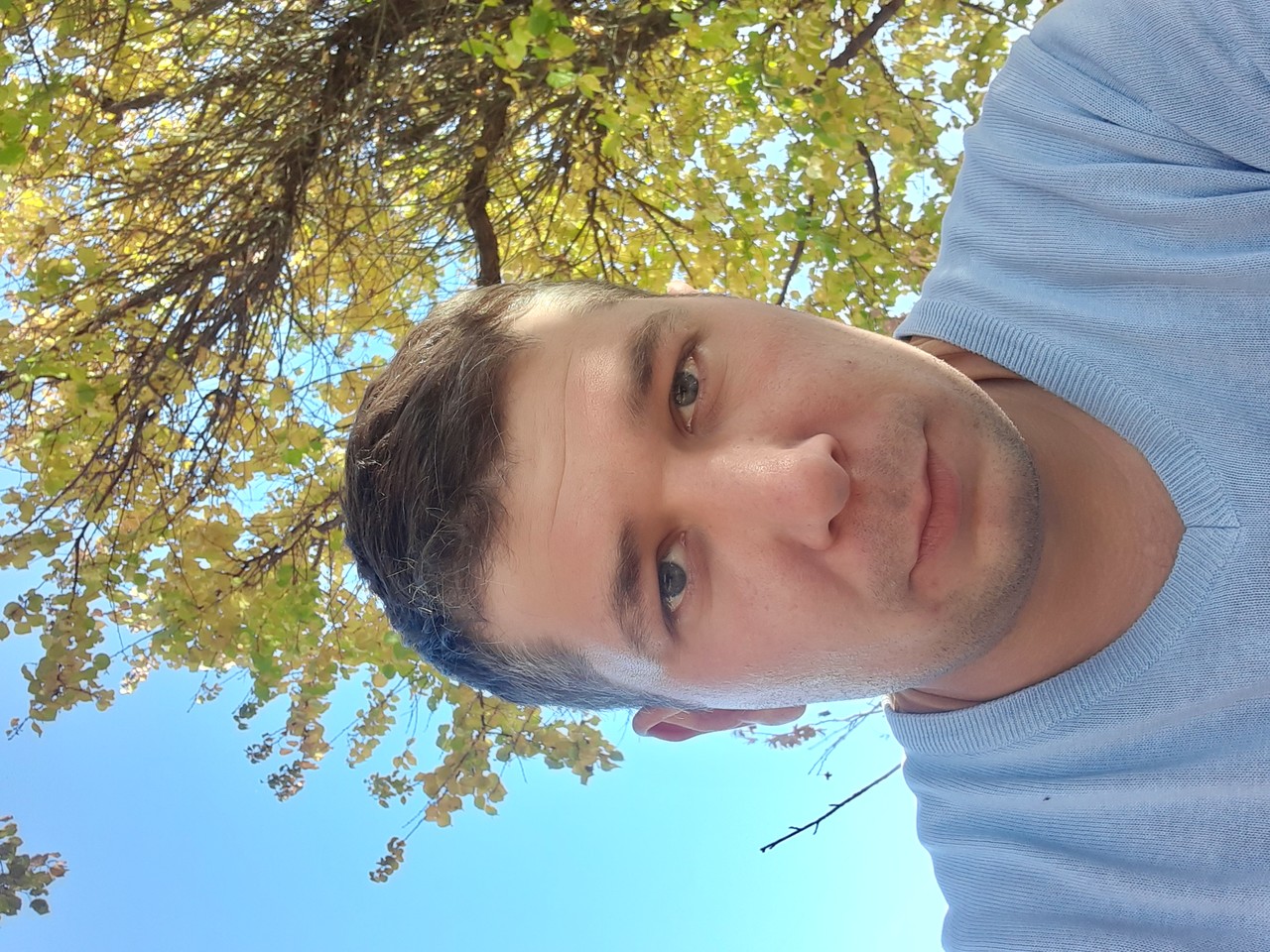 ���������� #2275439