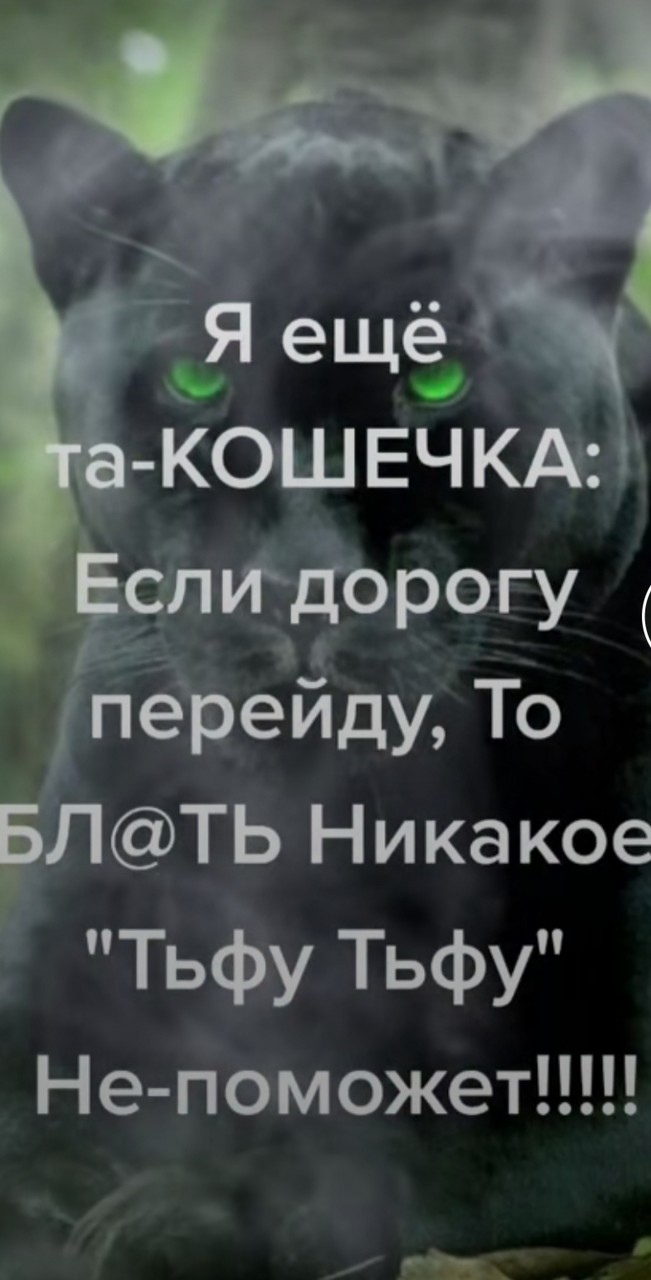 ���������� #2276429