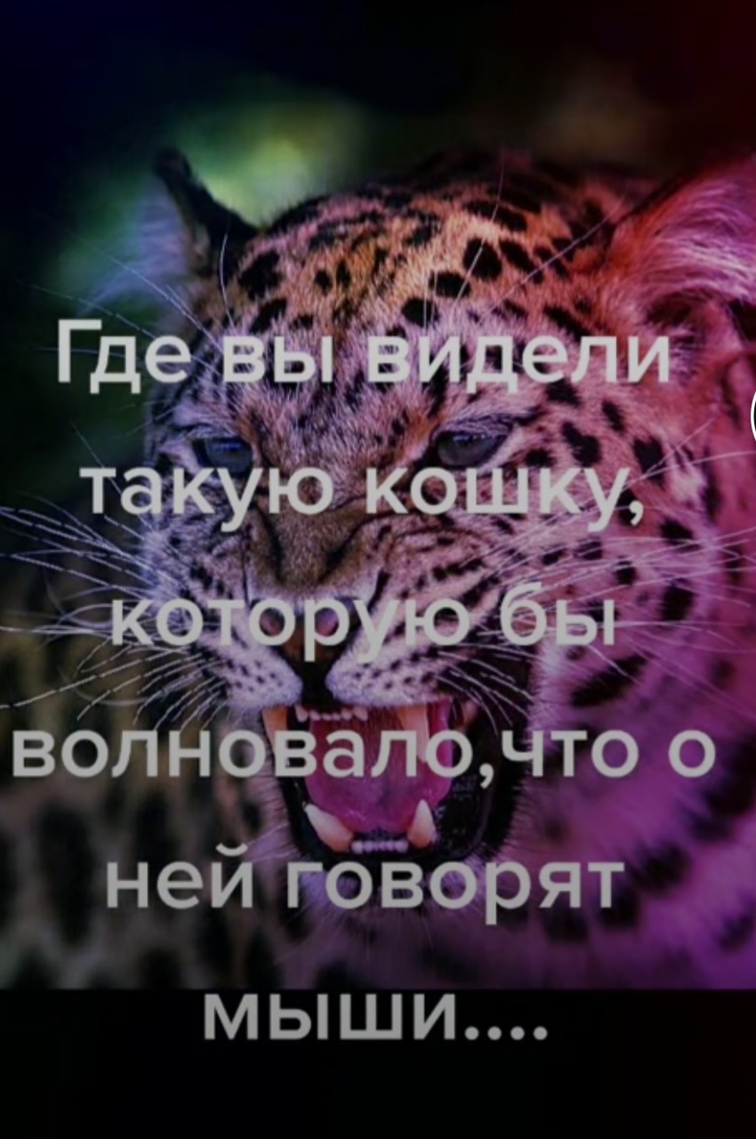 ���������� #2276431