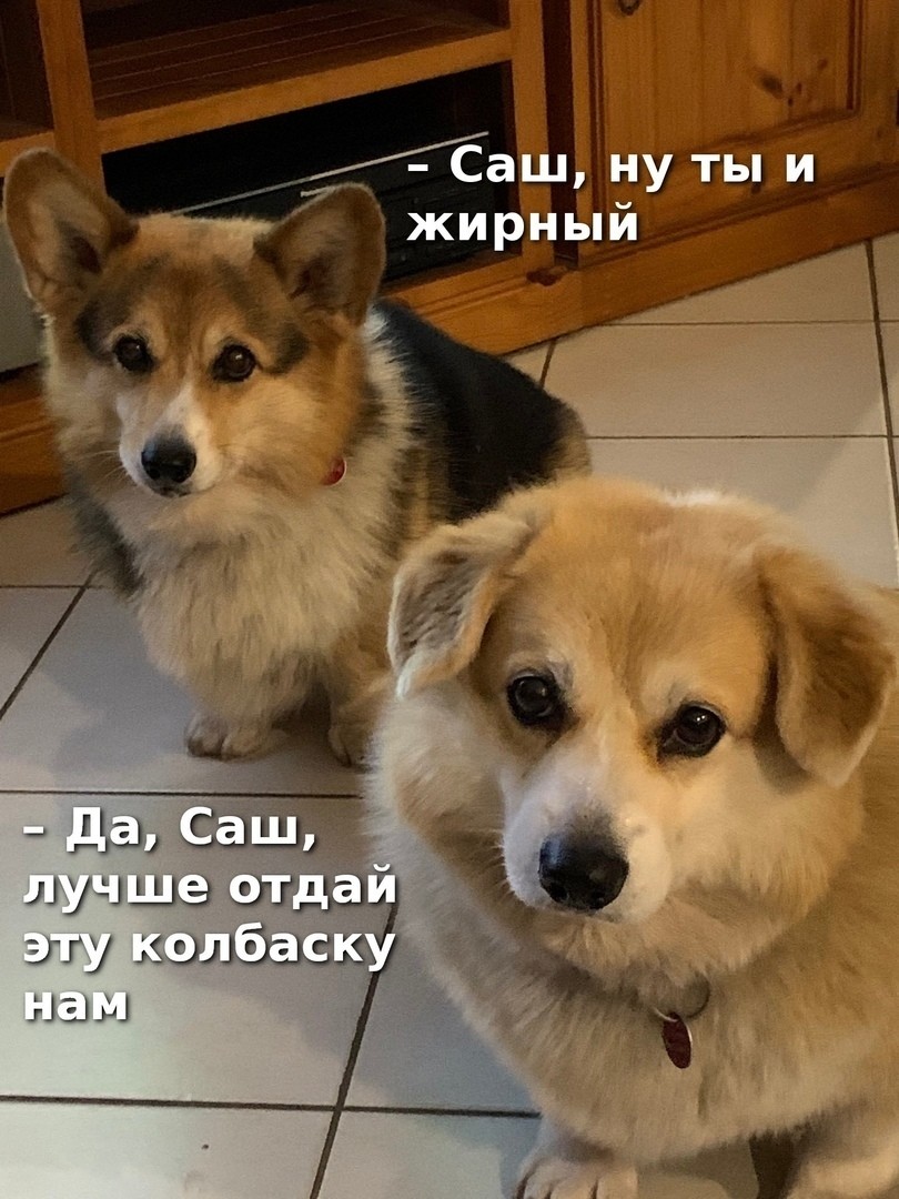 ���������� #2276747