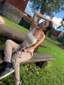 ���������� #2270730