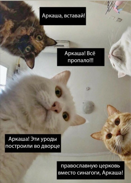 ���������� #2278347