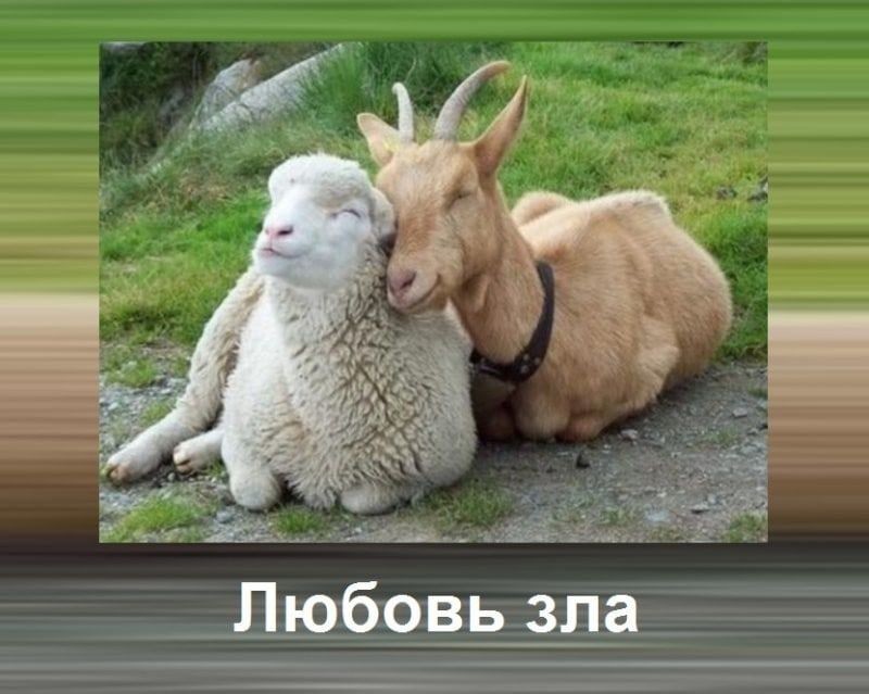 �������...