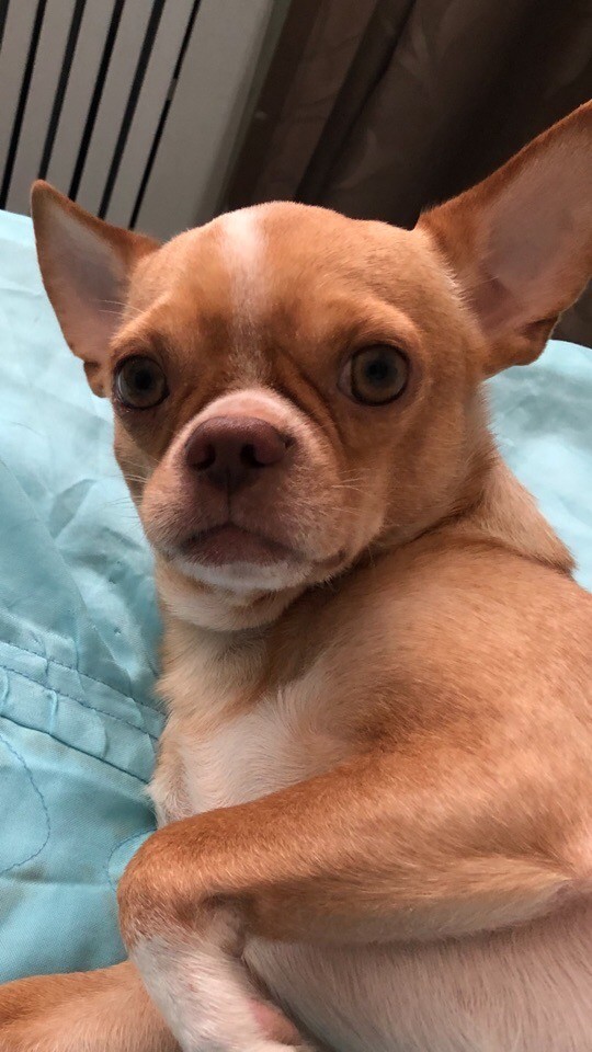 ���������� #2278732