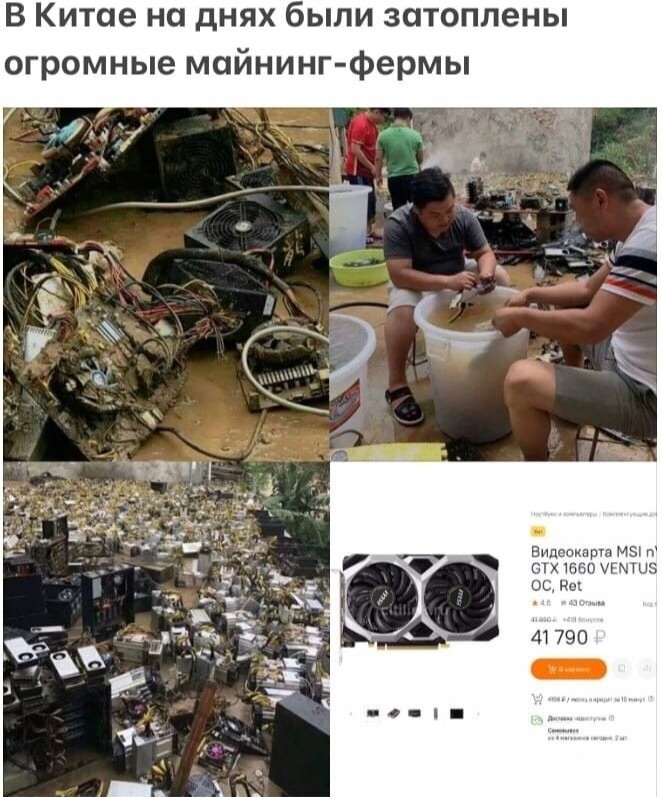 ���������� #2279147