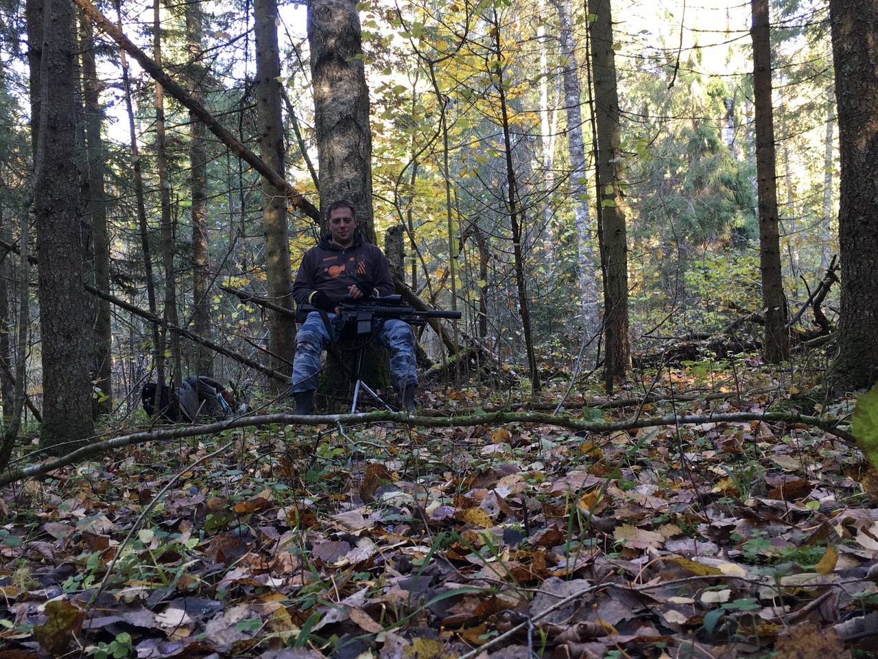 ���������� #2279322