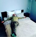 ���� �������