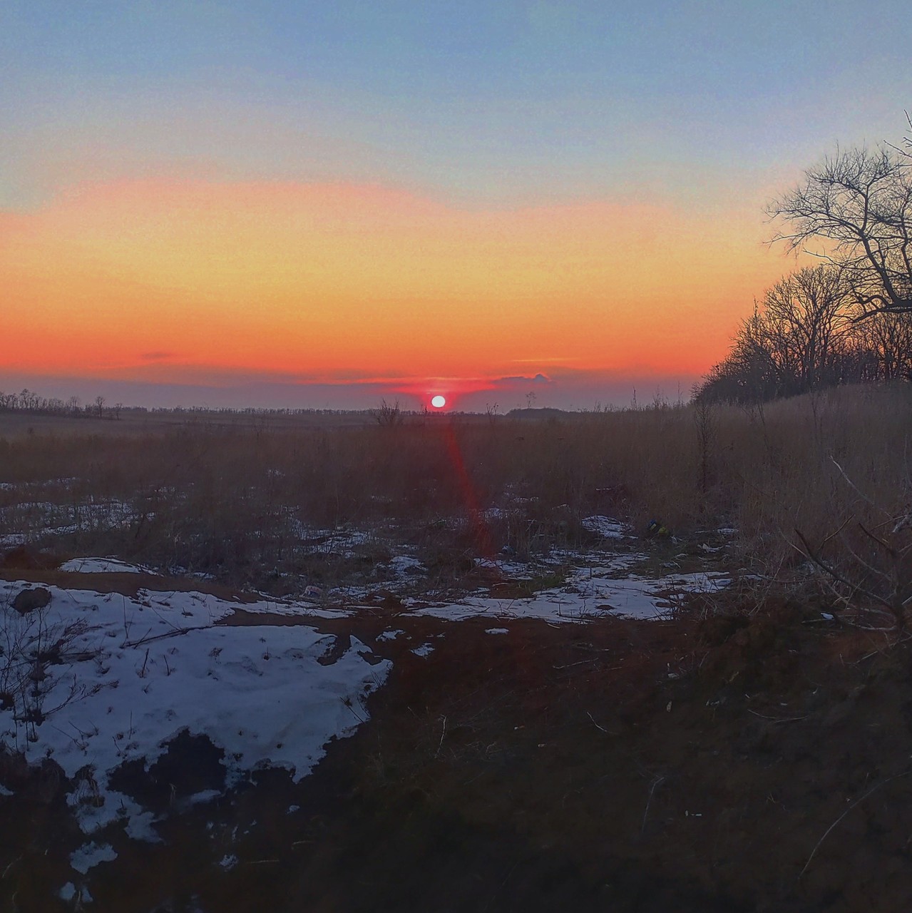 ���������� #2279724