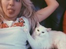 ���������� #2279791