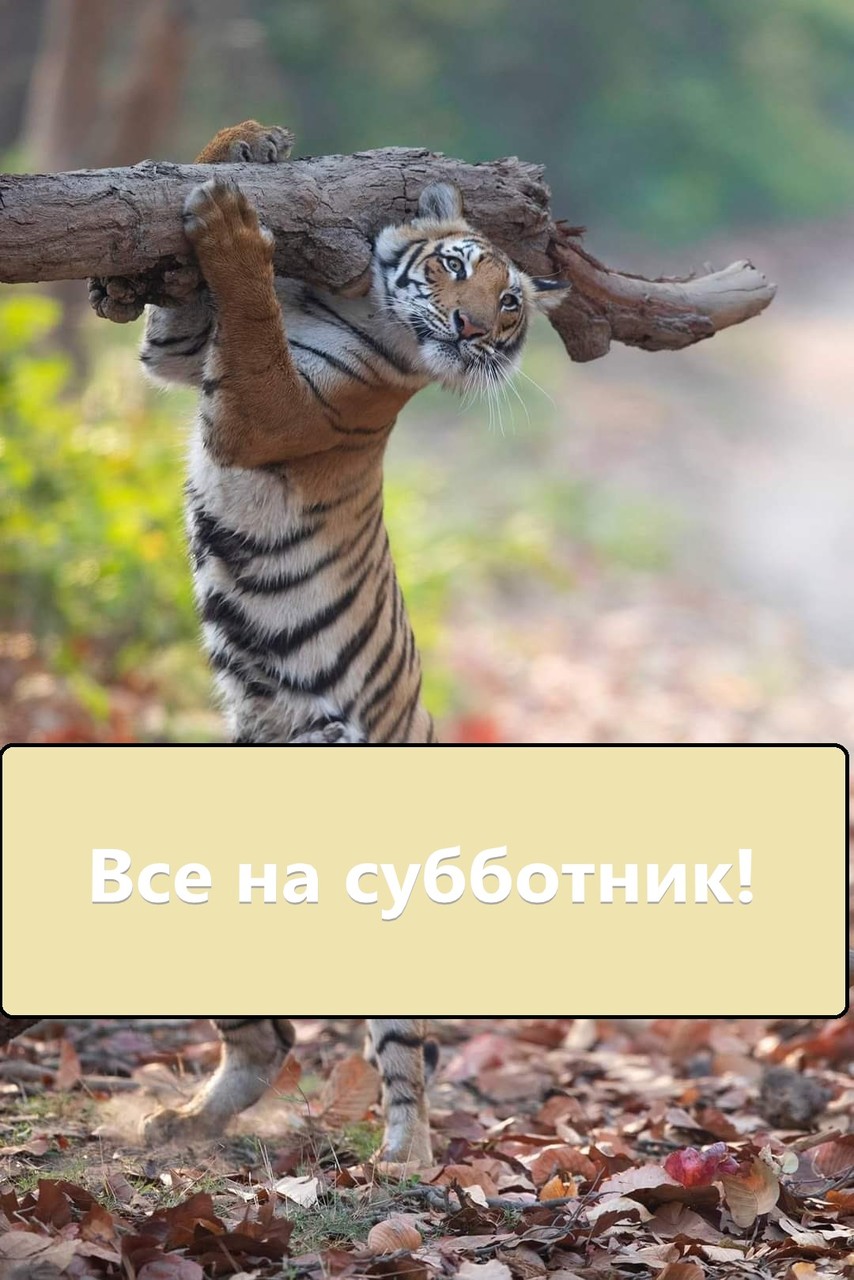 ��� �� ���������!