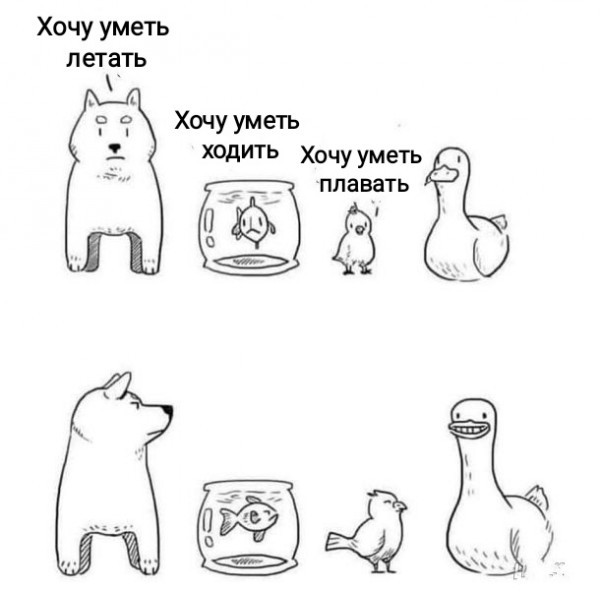 ���������� #2281535