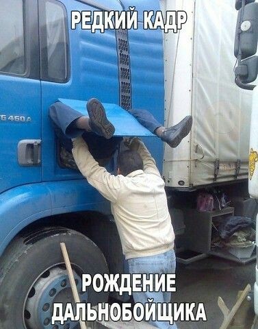 ���������� #2280242
