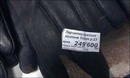 ���������� #2282581