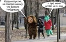 ���������� #2284423