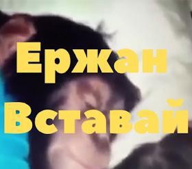 ���������� #2284708