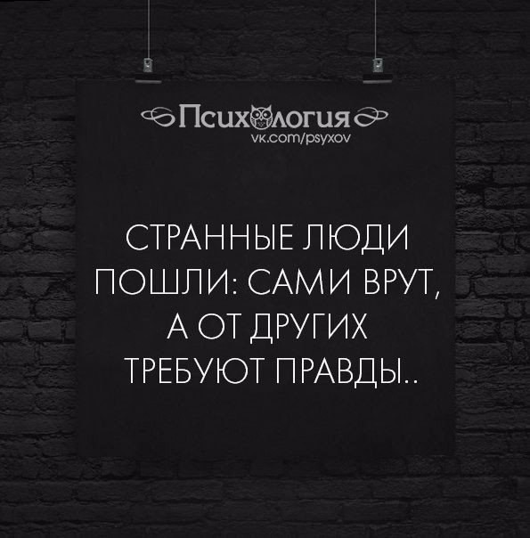 ���������� #2284859
