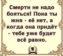 ���������� #2285079