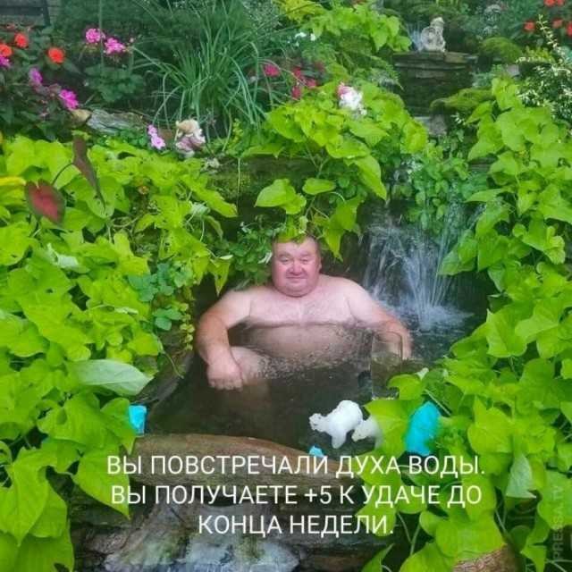 ���������� #2285080