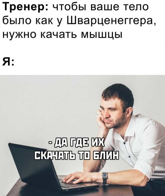 ���������� #2285081