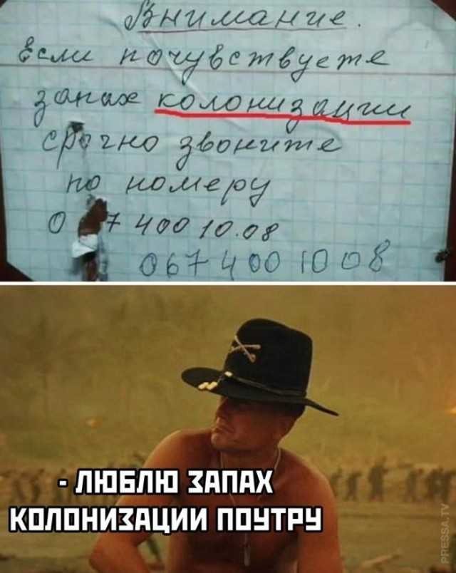 ���������� #2285082