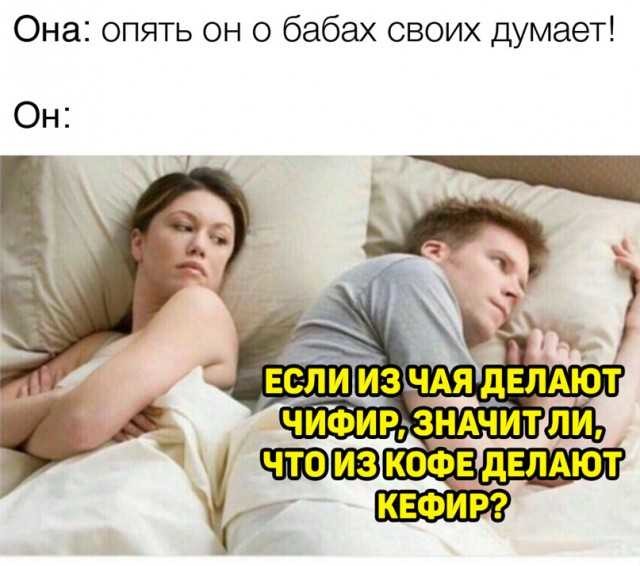 ���������� #2285084