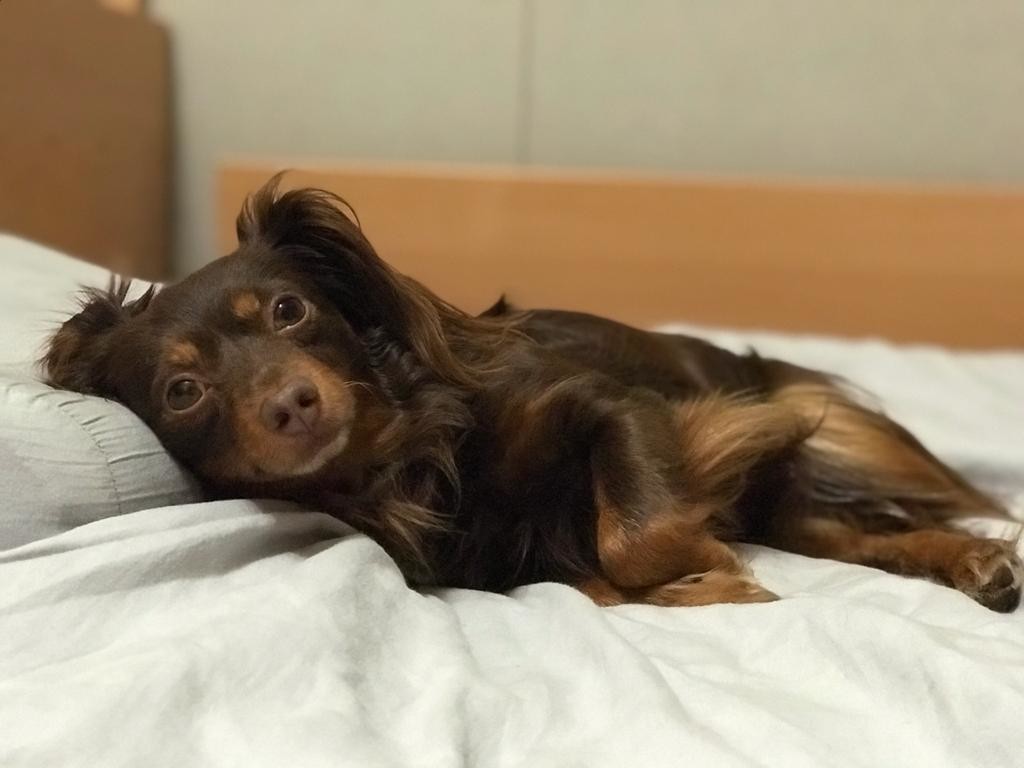 ���������� #2285154