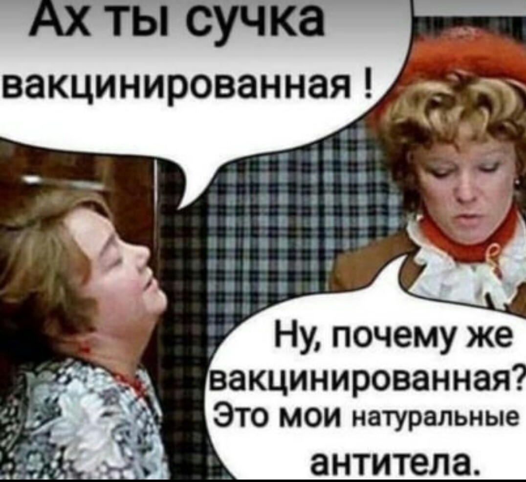 ���������� #2285285