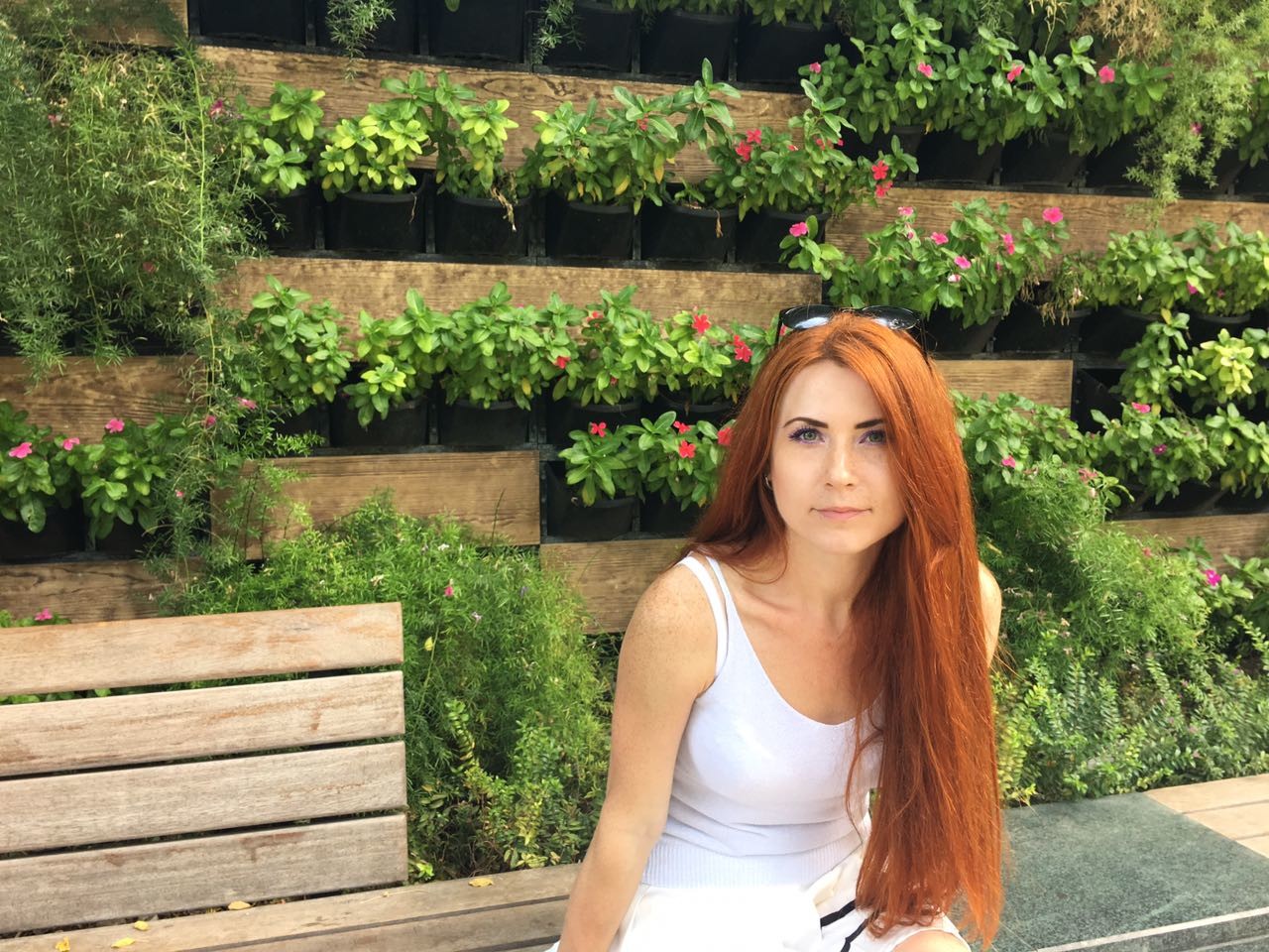 ���������� #2285294