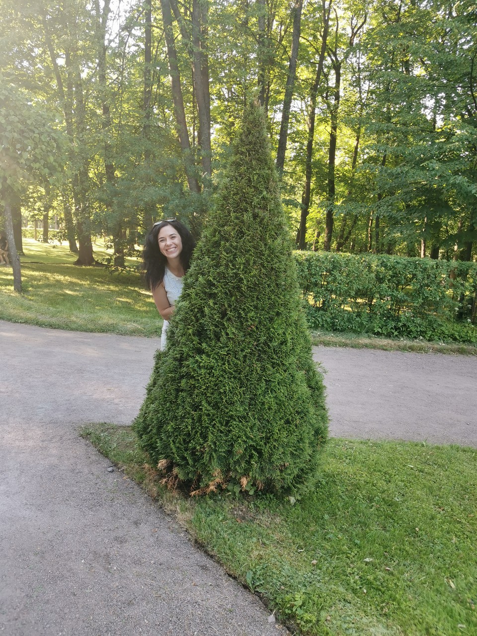 ���������� #2285472