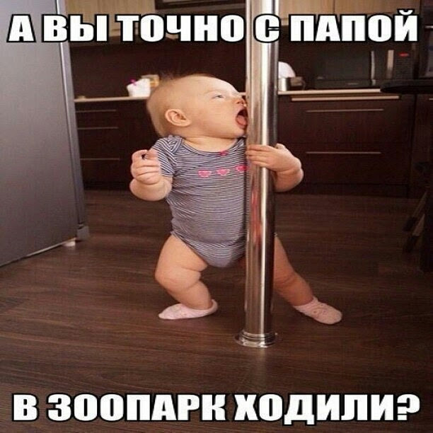 ���������� #2285598