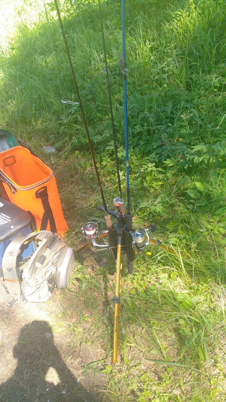 ���������� #2285791