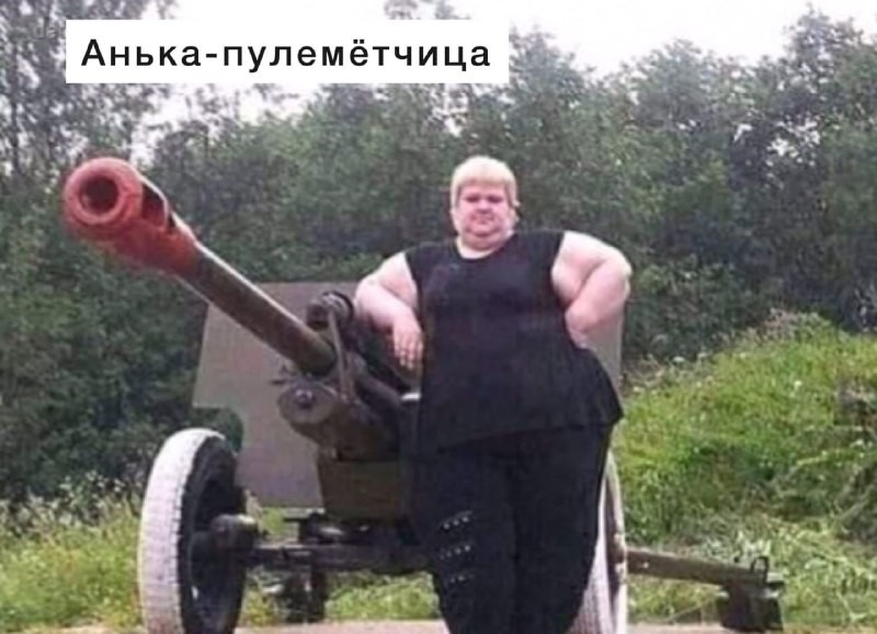 ���������� #2285929