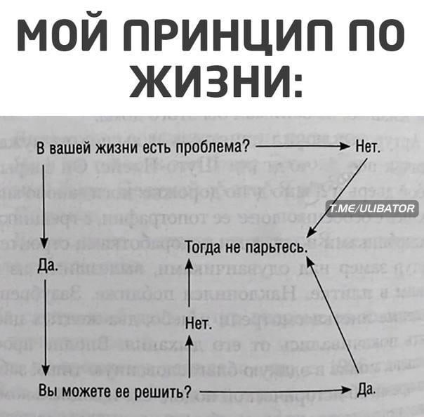 ���������� #2286197