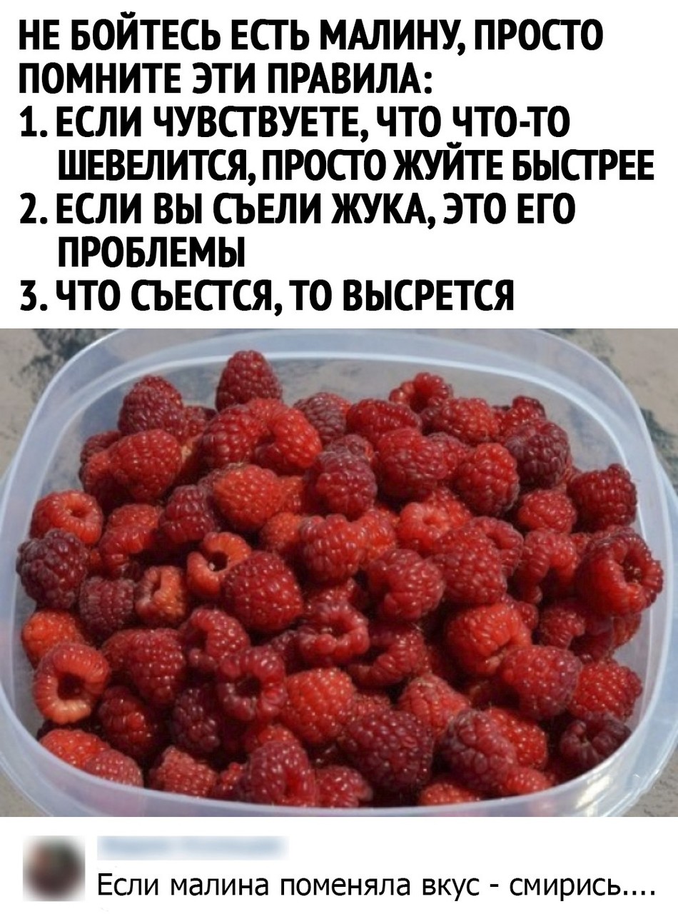 ���������� #2286399