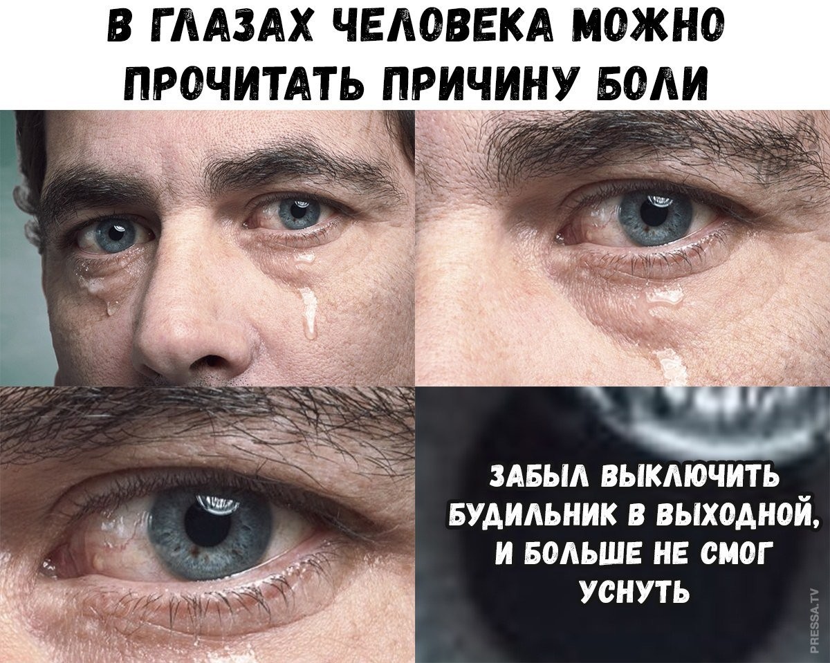 ���������� #2286640