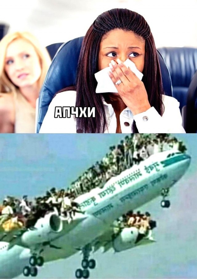 ���������� #2286642