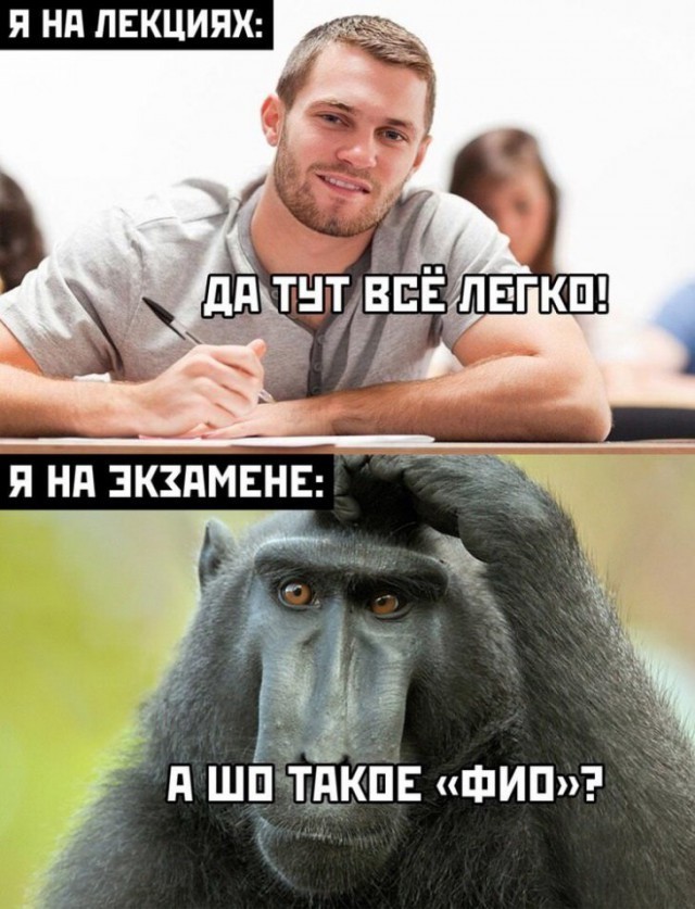 ���������� #2286645