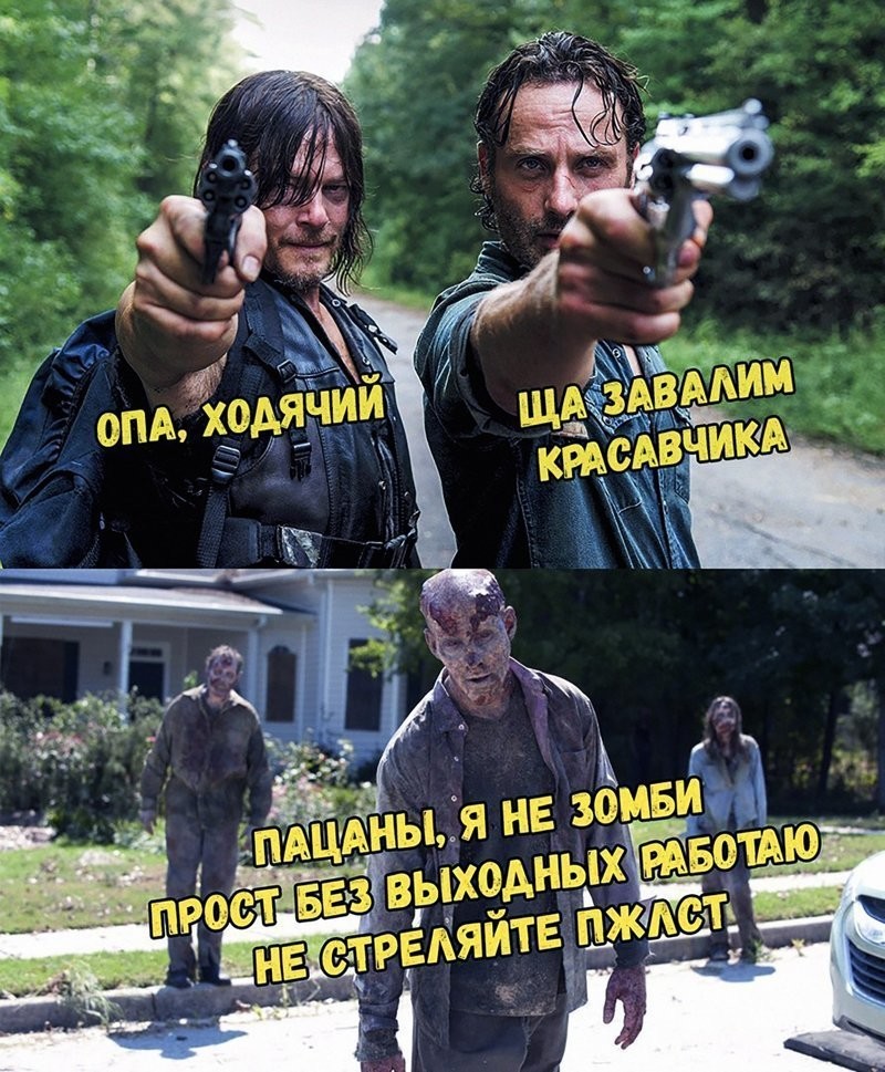 ���������� #2286646