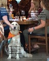 ��
