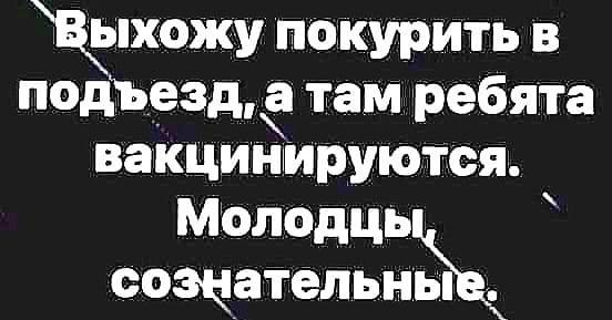 ���������� #2287111