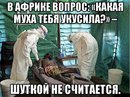 ���������� #2287114