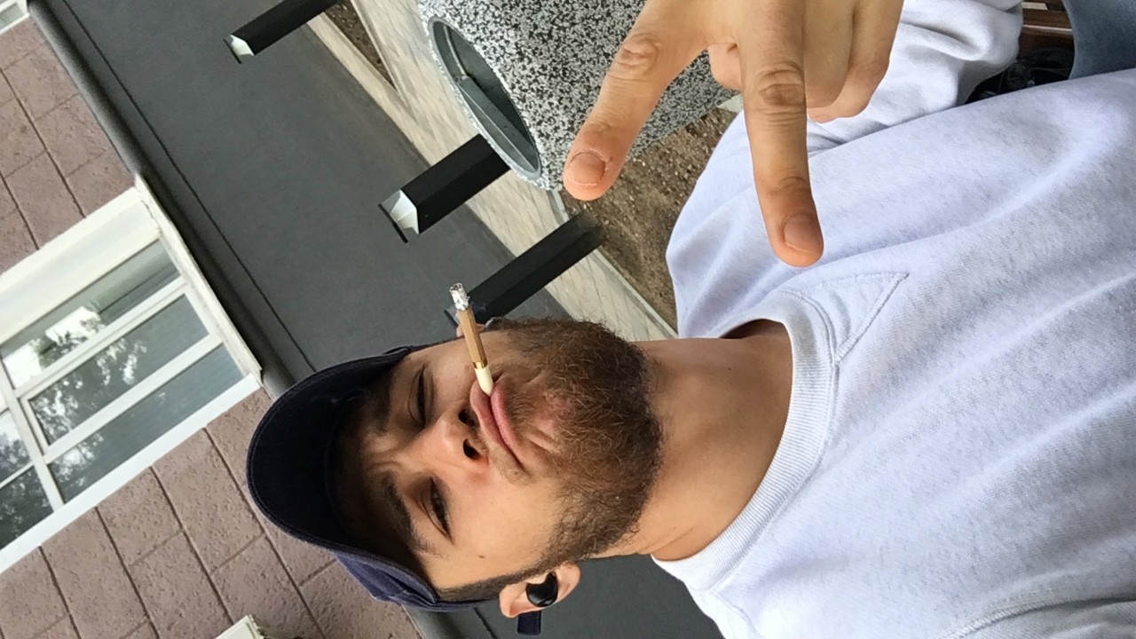 ���������� #2287118